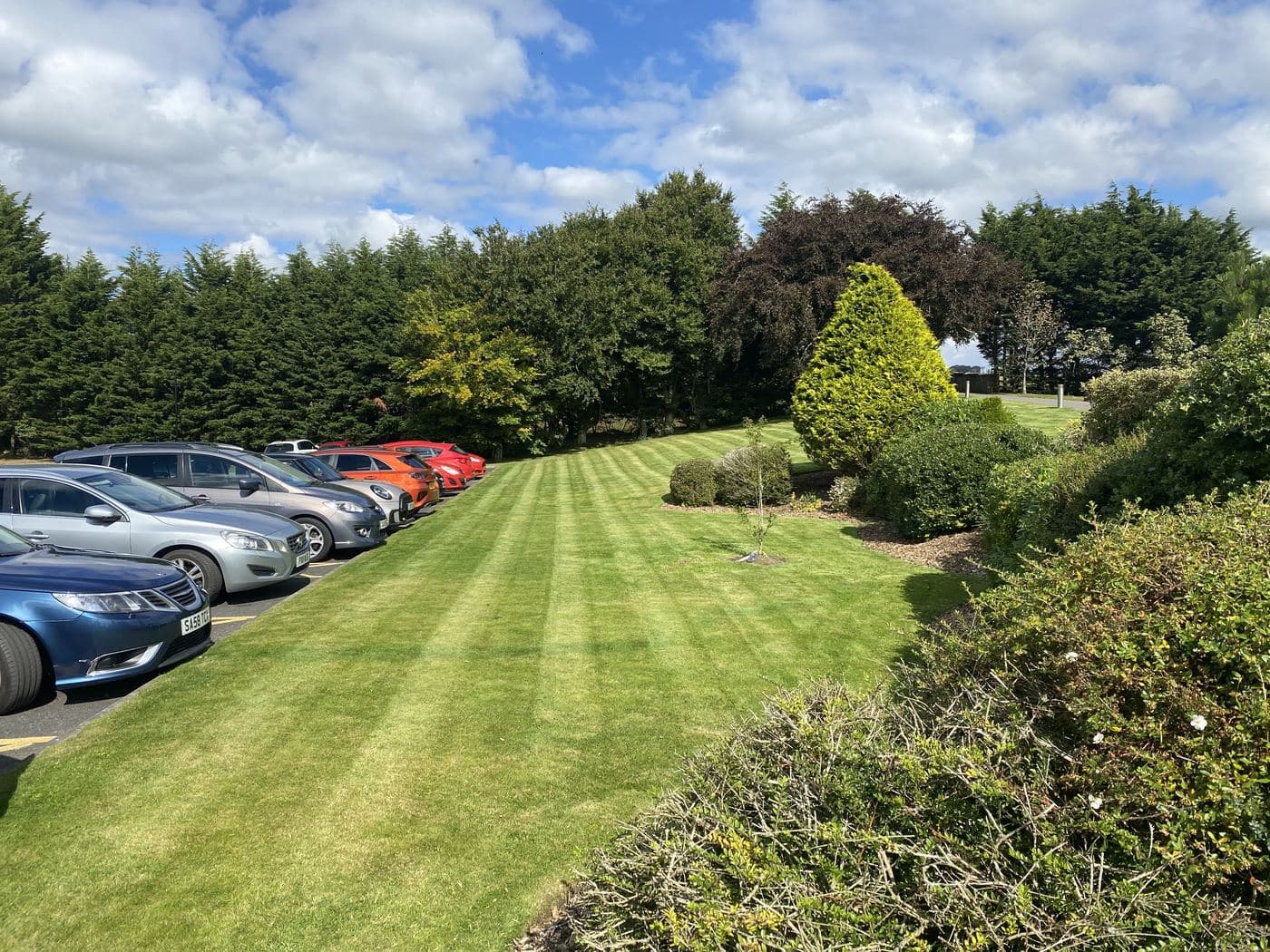 Extensive striped commercial lawn maintained alongside a car park