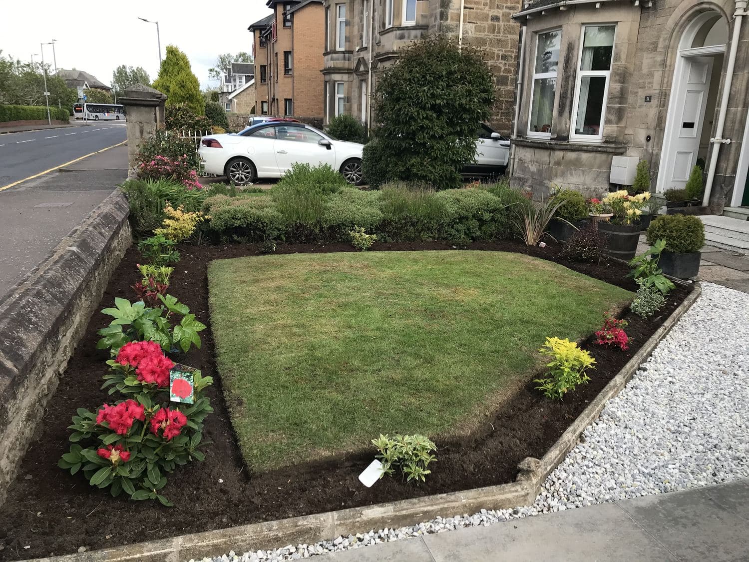 Front garden with a shaped lawn, gravel edging and newly planted red flowering shrubs